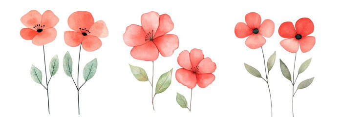 Beautiful watercolor flowers in shades of red and pink with green leaves