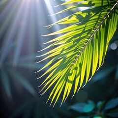 Close-up view of a vibrant green palm leaf illuminated by sunlight with a blurred natural background, showcasing tropical foliage and plant details in a sunny outdoor setting