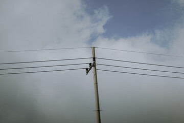Power Lines Against a Cloudy Sky