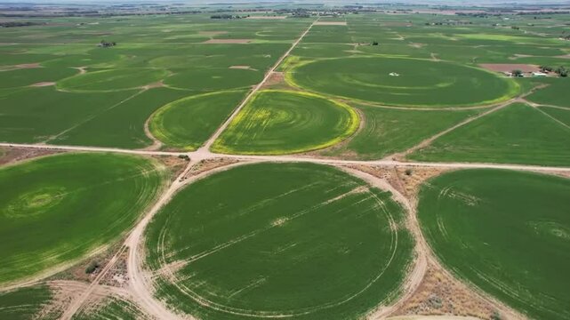 Expansive drone shot showcasing an impressive pattern of circular crop fields, created by center-pivot irrigation, stretching across a vast rural agricultural landscape.