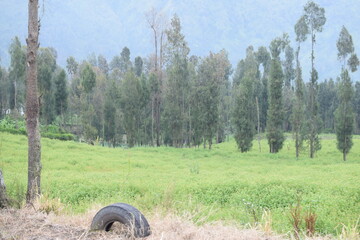 A tranquil view of farm fields with mountains in the distance under a cloudy sky.