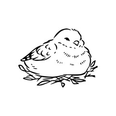 cute bird in nest clipart