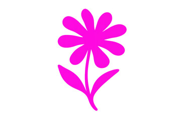 Obraz premium Delicate pink daisy bloom floating against transparent backdrop, highlighting floral simplicity