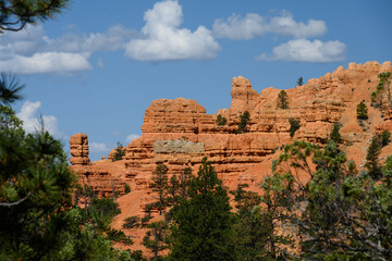 Orange rock hoodoo against a sunny blue sky with puffy white clouds and ponderosa pine trees in the Red Canyon recreation area in the Dixie National Forest, Utah
