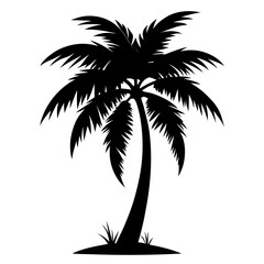 Fototapeta premium silhouette of palm tree