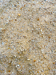 sand texture background with small stones.