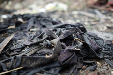 Garment Factory (textile) waste is a big problem 