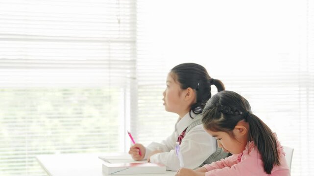 Female elementary school children studying in the classroom