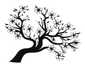 Fototapeta premium Elegant black silhouette of a delicate sakura blossom branch with intricate details presented cleanly on a pure white backdrop perfect for artistic and natural themes