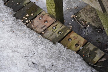 Bird flying off the wooden path