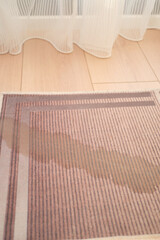 Water stain on rug in bright room with sheer curtains