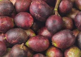 Matoa (Pometia pinnata) is a plant that is widely distributed in Southeast Asia, South Asia and Melanesia.