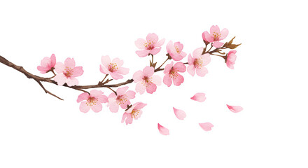Fototapeta premium Delicate Watercolor Cherry Blossom Branch with Falling Petals (1)