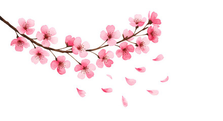 Naklejka premium Delicate Watercolor Cherry Blossom Branch with Falling Petals