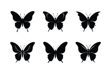 set of vector butterflies