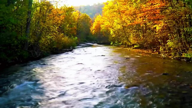Sungai di cagar alam gugur, air murni, sinar tembus celah pohon, Realistis, 3D look (cinematic), Statis (kamera diam), Smooth (gerakan tidak tersendat), 4K resolusi, Loopable seamless