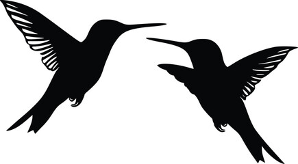 Obraz premium Elegant Hummingbird Pair: Black Silhouette Vector Illustration