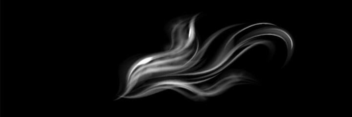 Smoke vector collection. White isolated cigarette smoke. Transparent special effect. Vector illustration.