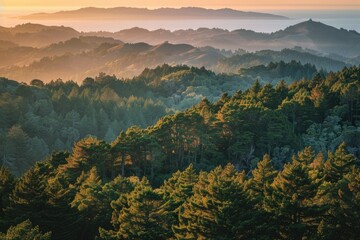 High Hills with Forest and a Visible Skyline at Sunset on Mt Tam in Marin,Ca