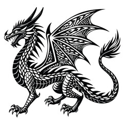 black and white dragon
