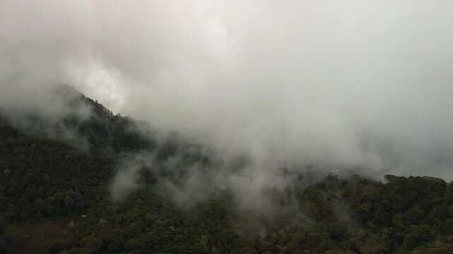 Low clouds sweep across Mount Apo&rsquo;s lush foothill rainforest, alternately revealing and veiling emerald ridges as the camera descends through swirling mist.