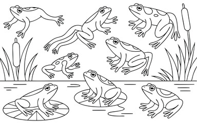 Line Art Illustration of Frogs, Cattails, and Lily Pads in a Wetland Habitat
