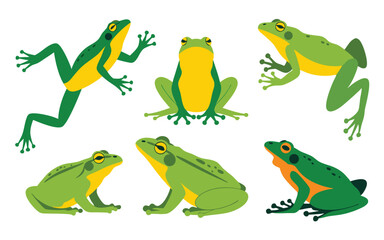 Obraz premium Six Flat Illustrations of Different Green and Yellow Frog Species on White