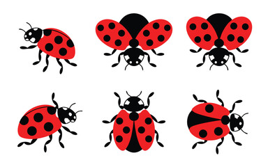Six Ladybug Illustrations with Red and Black Coloring Isolated on White Background