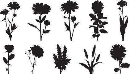 Fototapeta premium Set of ten black and white flower silhouettes including daisies and lilies, featuring various arrangements of blooms and leaves for a varied and minimalist floral collection.