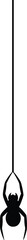Vector illustration: Minimalist black spider silhouette hanging.