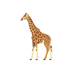 Naklejka premium giraffe vector illustration