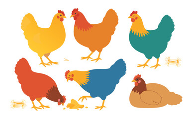 Colorful Chicken Illustration Featuring Yellow, Orange, Blue, Brown, and Teal Hens on White Background