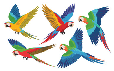 Obraz premium Vivid Illustration of Colorful Macaws in Flight Against a White Background, Tropical Birds