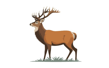 Majestic stag with large antlers standing in grass deer animal