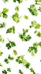 Fresh Cilantro Leaves Falling on White Background