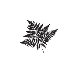 Simple black silhouette of a stylized leaf, elegant and minimalist design.