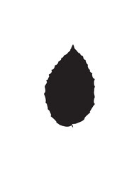 Simple black silhouette of a stylized leaf, elegant and minimalist design.