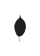 Obraz premium A simple, black silhouette of a leaf against a stark white background.