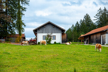 Farm Land in Bavaria - Germany