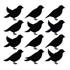 Obraz premium Silhouette Bird Collection Twelve Elegant Black Bird Illustrations