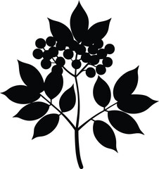 Elderberry minimal clean design silhouette vector art illustration
