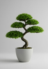 Elegant Bonsai Tree in White Pot on Clean Background - Japanese Miniature Plant Art