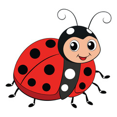 Obraz premium ladybird vector illustration