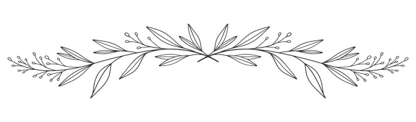Sketch Floral Botany Collection. flower drawings. Black and white with line art on white backgrounds. Hand Drawn Botanical Illustrations. Vector eps