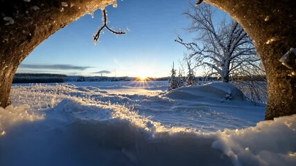 A captivating winter landscape reveals snow-covered fields at sunset framed by a snow-laden branch. The clear blue sky complements the golden sunlight, enhancing the tranquil and scenic vista of - Powered by Adobe