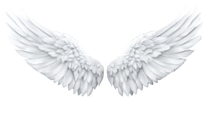Fototapeta premium Elegant angel wings vector illustration with feather details, spiritual symbolism, and heavenly design isolated on white background