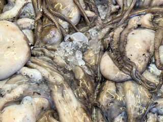 Fresh octopus display on ice at seafood market