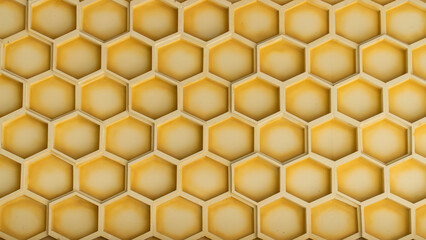 The wall is patterned with honeycomb wooden panels, creating a striking visual. 