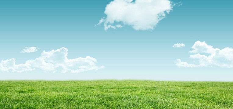 Open green field is stretching under bright blue sky in flat design, with fluffy white clouds - Powered by Adobe