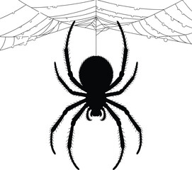 Vector black silhouette of a animals on a white background
